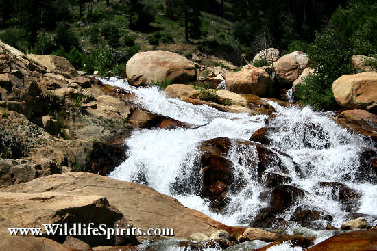 Click Picture to send as an  E-PostCard 64k 550x367
